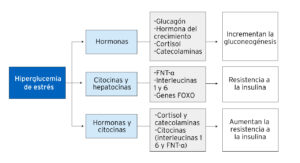 Generalidades del metabolismo del paciente crítico