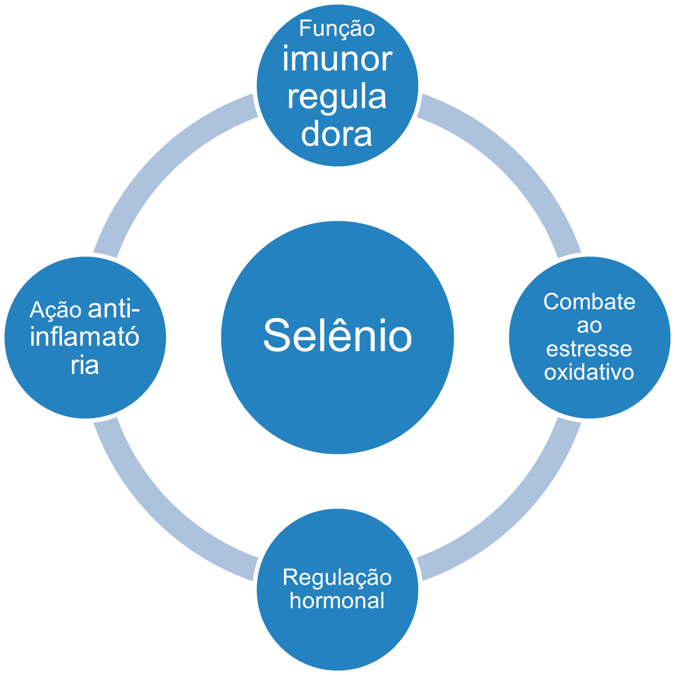 Infográfico sobre funções do selênio